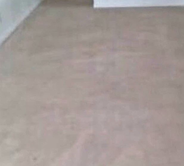 The same carpet after a deep steam clean, even colour restored