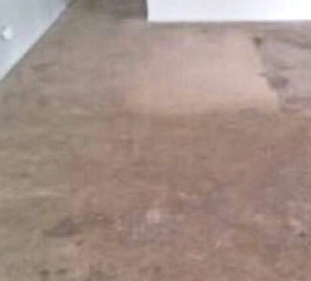 The same carpet before cleaning, stained and flattened